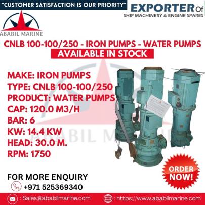 IRON PUMPS - WATER PUMPS - CNLB 100-100/250