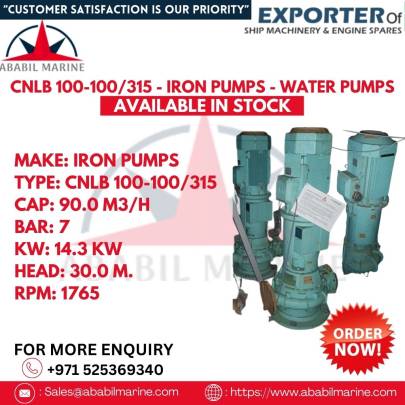 CNLB 100-100/315 - IRON PUMPS - WATER PUMPS