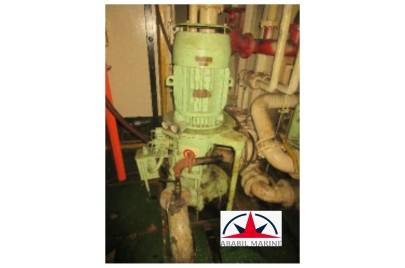 FRESH WATER PUMPS - DICKOW - FM-100MC-CI - COMPLETE RECONDITION PUMPS