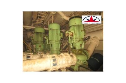 FRESH WATER PUMPS - SHIN SHIN - B200VID1 - COMPLETE RECONDITION PUMPS