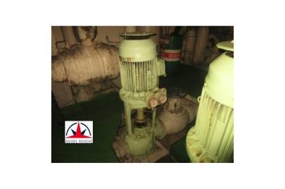 FRESH WATER PUMPS - SHIN SHIN - DB300VID1 - COMPLETE RECONDITION PUMPS