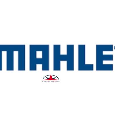 MAHLE NFV - PPT-BWS/MESB 5000 - OILY WATER SEPARATOR