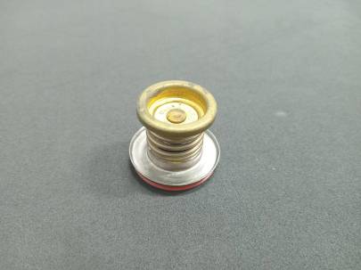 Radiator Pressure Relief Valve