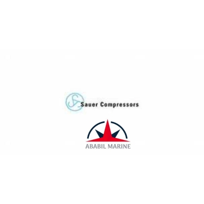 SAUER & SOHN - WP 150L - AIR COMPRESSOR - GLYCERIN PRESSURE GAUGE - 033 261