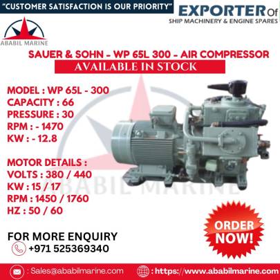 WP 65L - 300 - SAUER & SOHN - AIR COMPRESSOR .